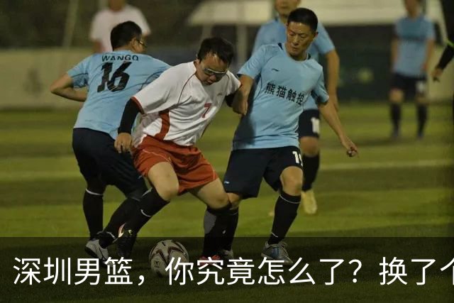 深圳男篮，你究竟怎么了？换了个菜鸟教练就如此唉声叹气？